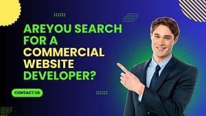 seo optimized content - bizkia international