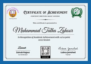 seo optimized content - bizkia international